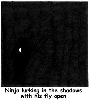 Ninja with his fly open, lurks in the shadows