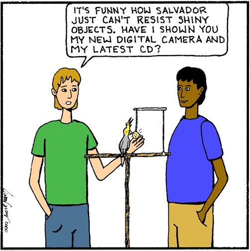 Birds like shiny objects