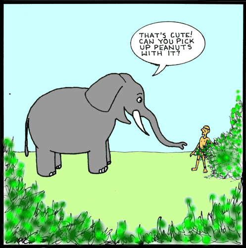 Elephant