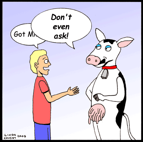 Cow gets tired of being asked