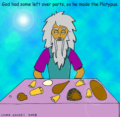God made the platypus out of spare parts