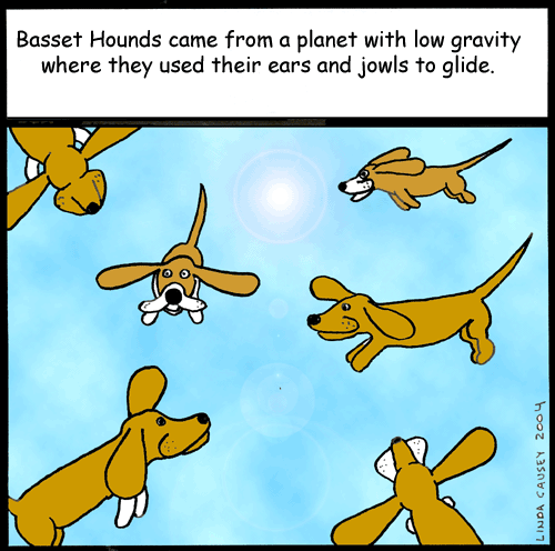 Basset Gliders