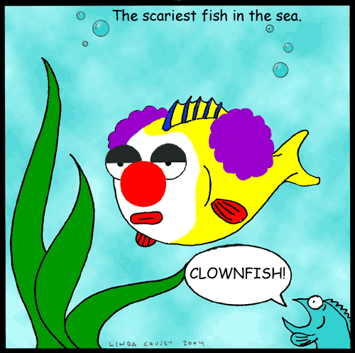 Clown fish