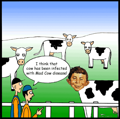 Mad Cow disease