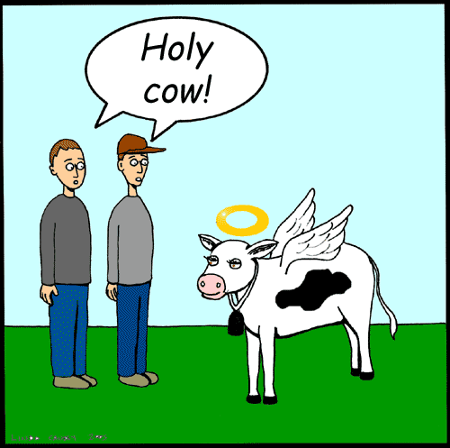 clip art holy cow - photo #12