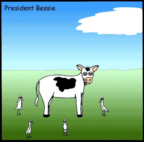 President Bessie and her secret service cattle egrets