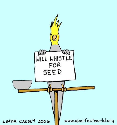 Wil whistle for seed