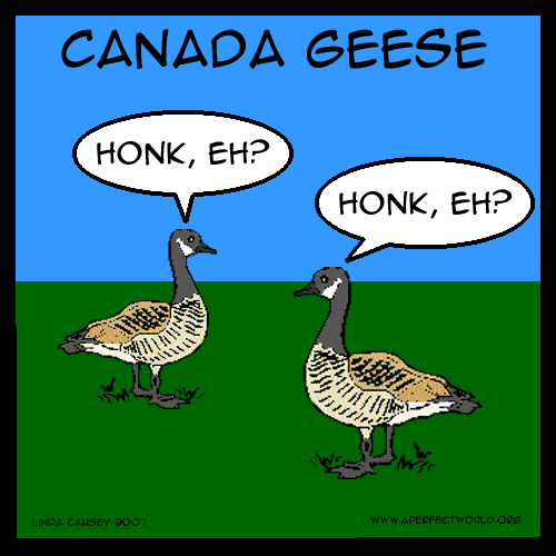 Honk, eh?