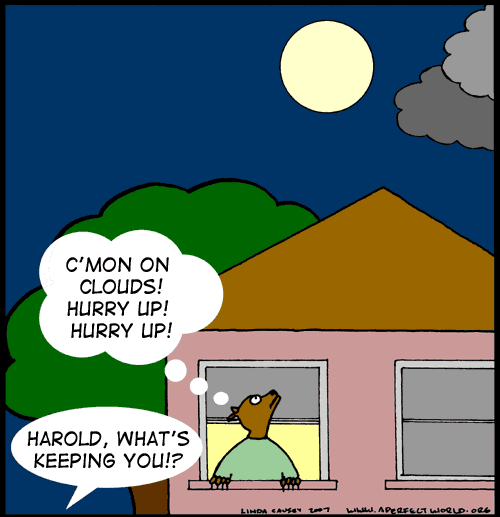 Harold waits for the clouds to cover the full moon so that he can go on his date as a normal person