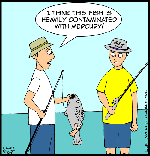 I think this fish is contaminated with mercury