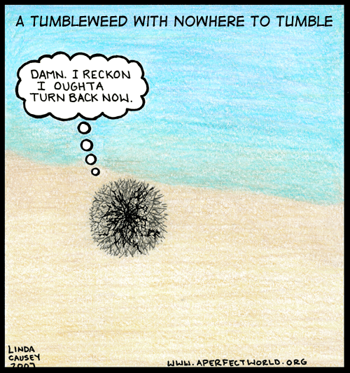A tumbleweed reaches the end of the world