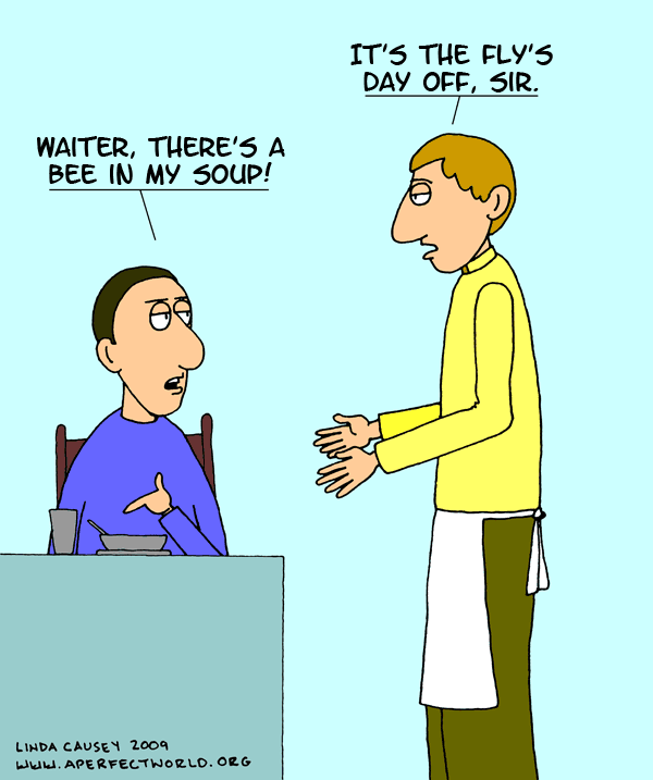 Waiter, there's a bee in my soup! It's the fly's day off.