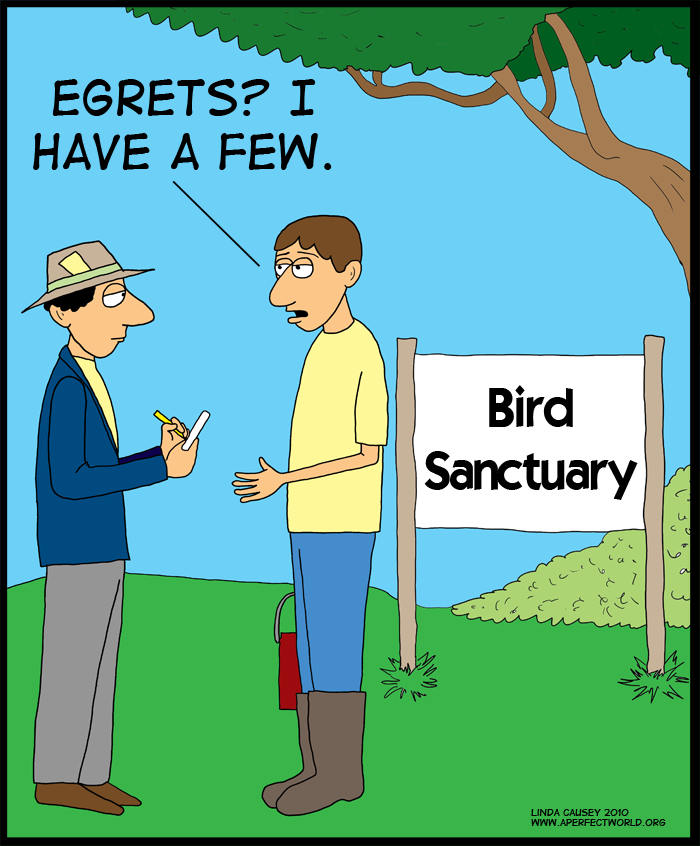 Egrets? I have a few.