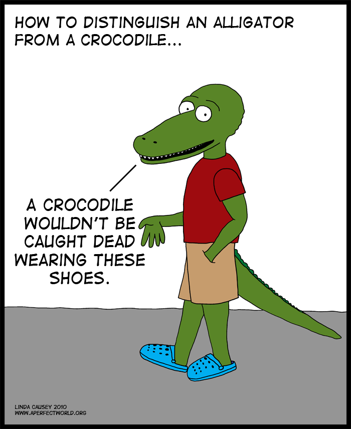 A crocodile would never wear Crocs