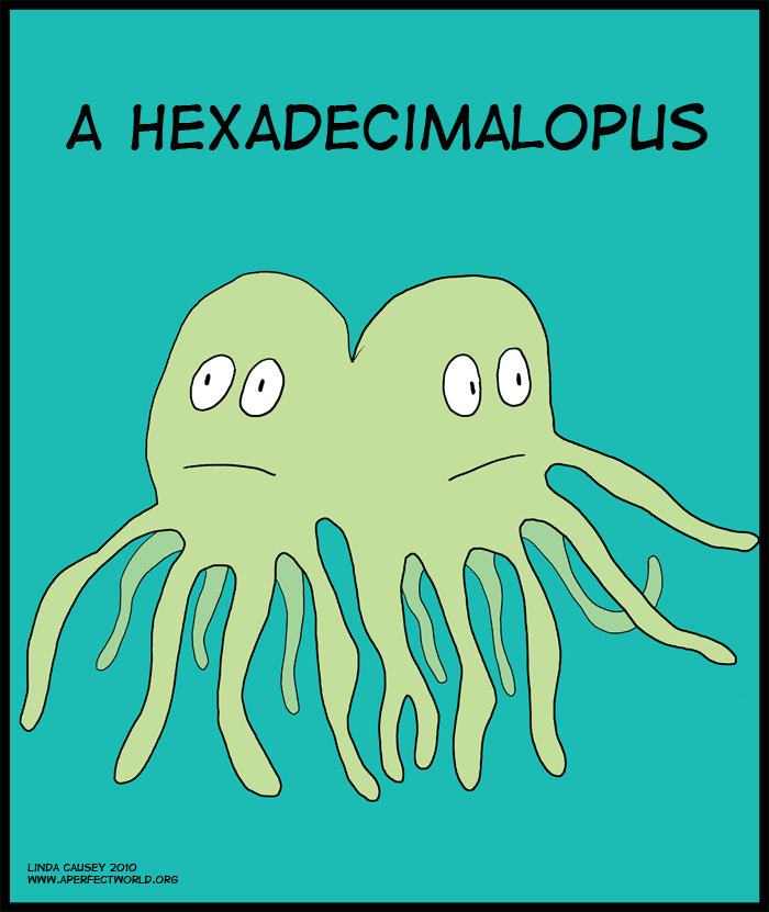 Haxadecimalopus