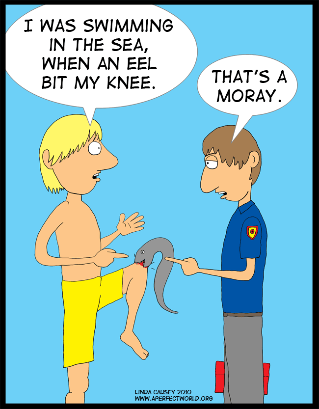 When you swim in the sea and an eel bites your knee, that's a moray!