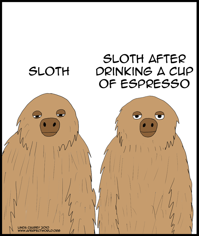 Regular sloth and a sloth after a cup of espresso