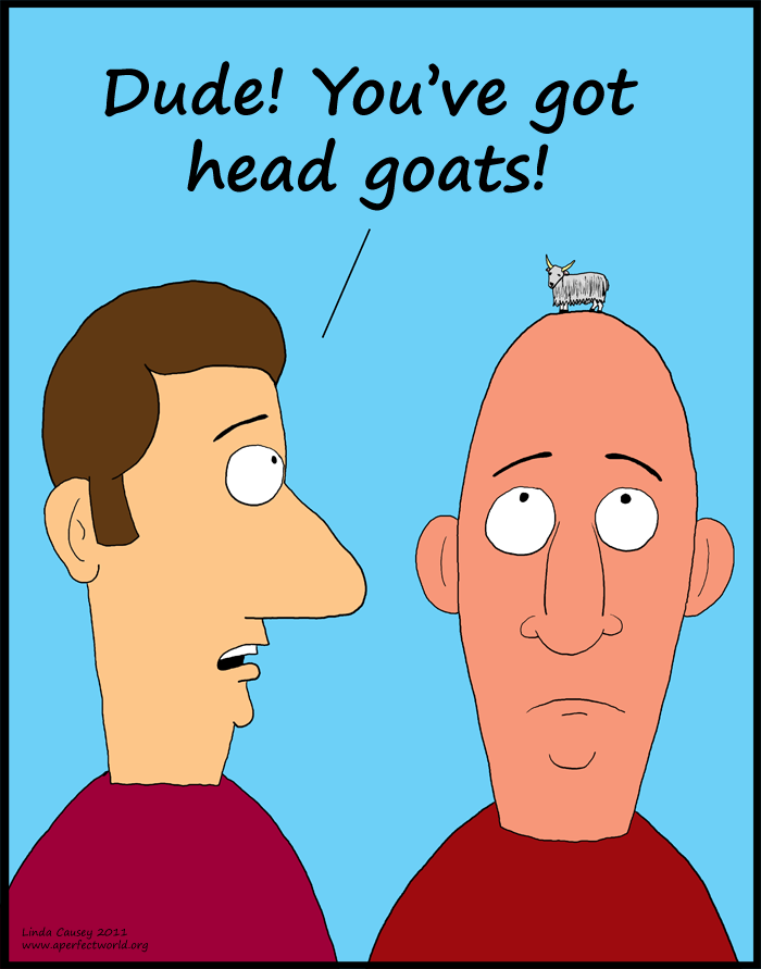 The embarrassment of head goats