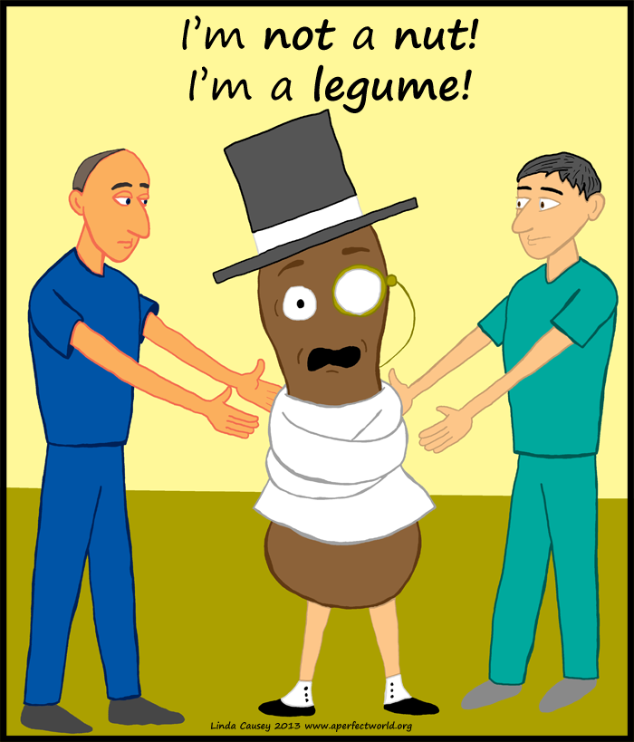 I'm not a nut. I'm a legume!