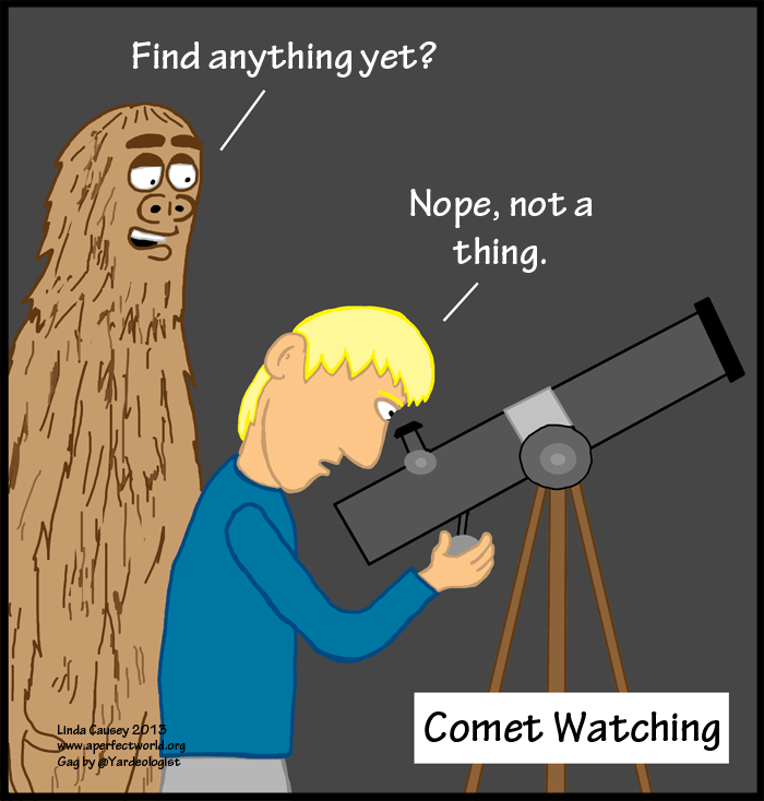What you miss when looking for comets