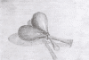 maracas.png (14613 bytes)