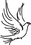 dove.gif (11097 bytes)