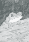 frog.png (15517 bytes)