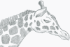 giraffe2a.png (49573 bytes)
