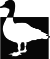 goose.GIF (5015 bytes)
