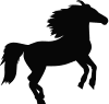 horse03.gif (13129 bytes)