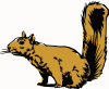 squirrel02.gif (42170 bytes)
