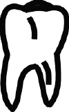 tooth02.gif (4979 bytes)