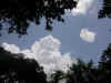 cloud.jpg (442531 bytes)