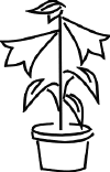 lily02.gif (10662 bytes)