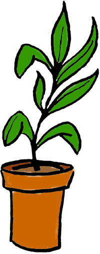 clipart plant plants - photo #9