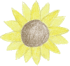 sunflower.png (112005 bytes)