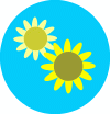 sunflowers.gif (22450 bytes)