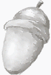 acorn.png (7309 bytes)